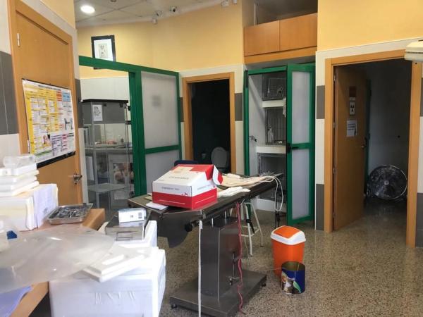 Local en calle els Realets, 2