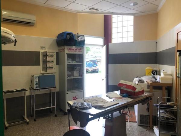 Local en calle els Realets, 2