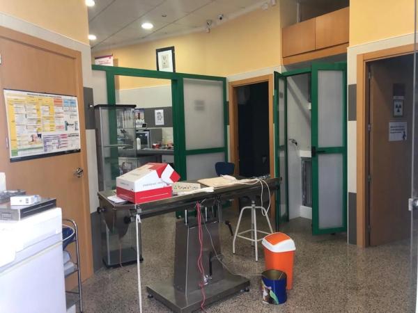 Local en calle els Realets, 2