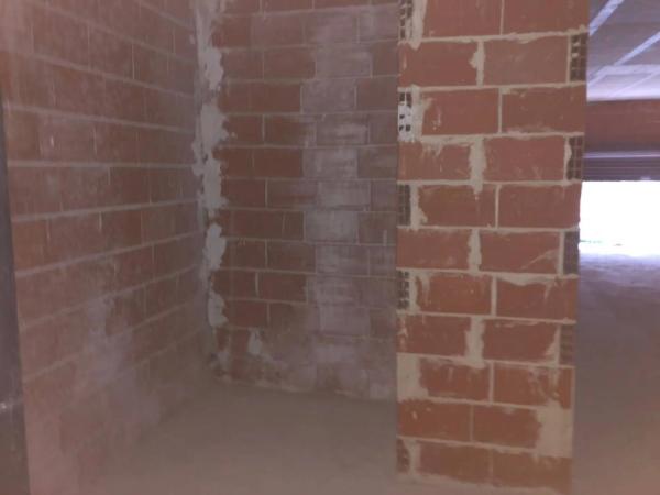 Local en paseo Ovidi Montllor, 6