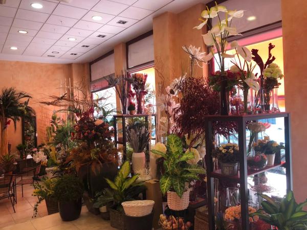 Local en Centro - Zona Alta