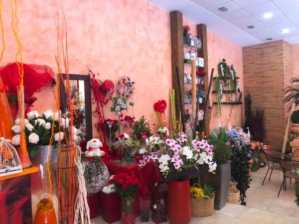 Local en Centro - Zona Alta