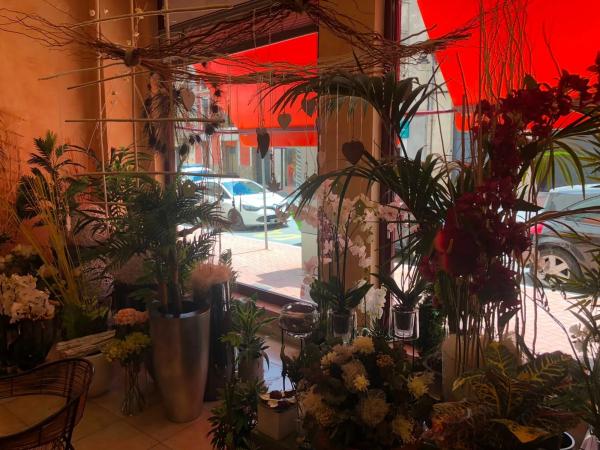 Local en Centro - Zona Alta