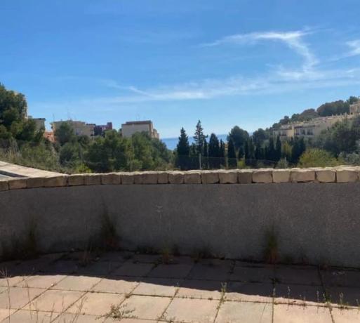 Local en Partida Canuta I, 1