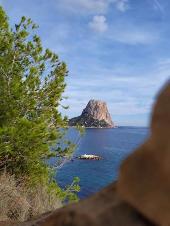 Local en calle Benissa