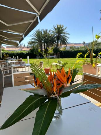 Local en carretera de les Marines a Dénia, 103 d