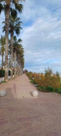 Local en platja Almadrava