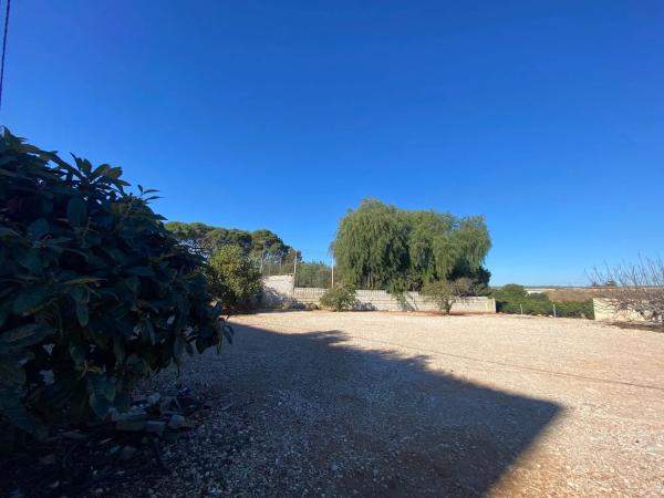 Local en Partida Tossalet