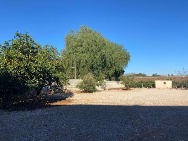 Local en Partida Tossalet