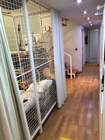 Local en calle de Campo Torres, 14