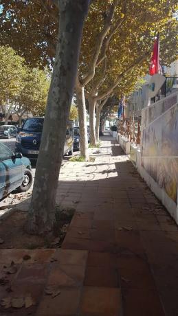 Local en Centro Ciudad