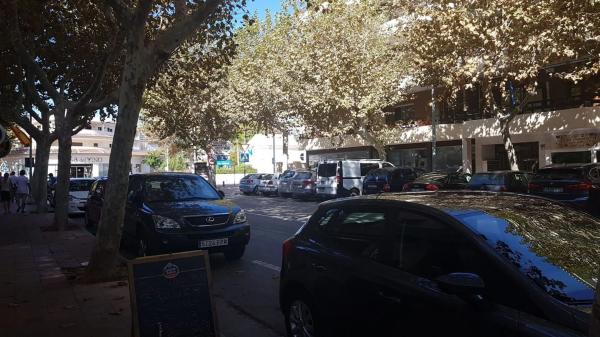 Local en Centro Ciudad