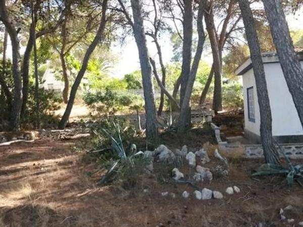 Local en Cap Martí - Pinomar