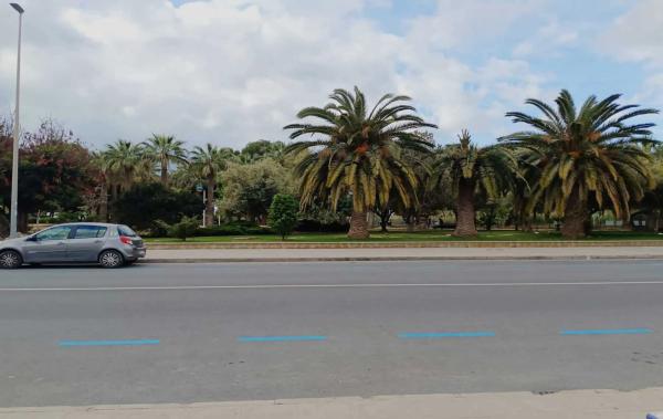 Local en Pinar de Advocat-Cometa