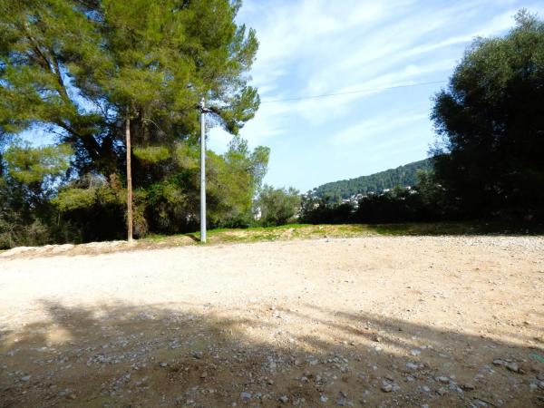 Local en calle el Castellet