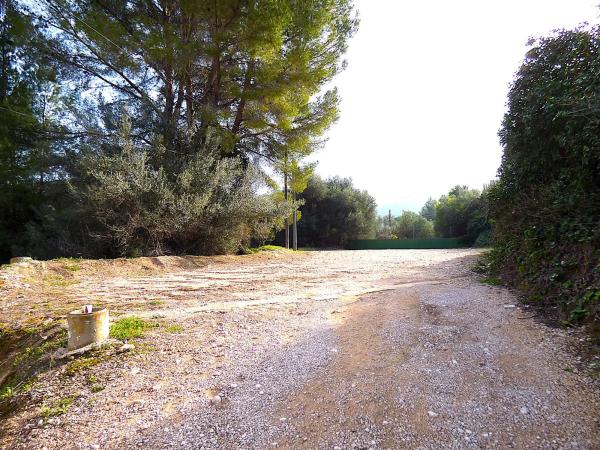 Local en calle el Castellet