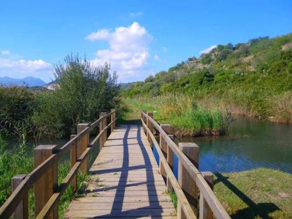 Local en calle Sant Joaquim