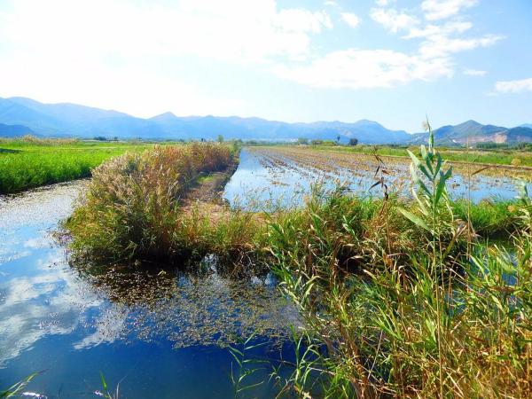Local en calle Sant Joaquim