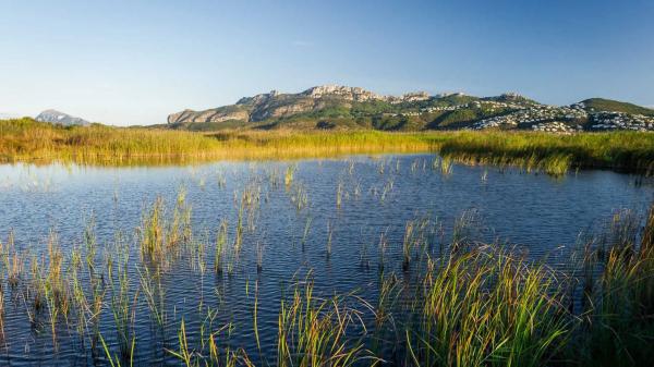 Local en calle del Mar