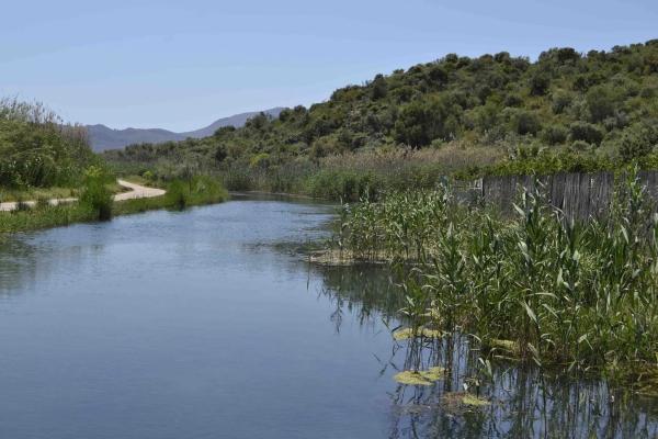 Local en calle del Mar