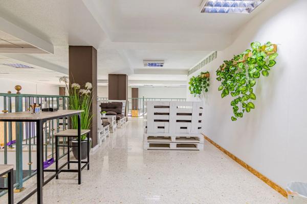 Local en Alfaz del Pi Pueblo-Urbanizaciones