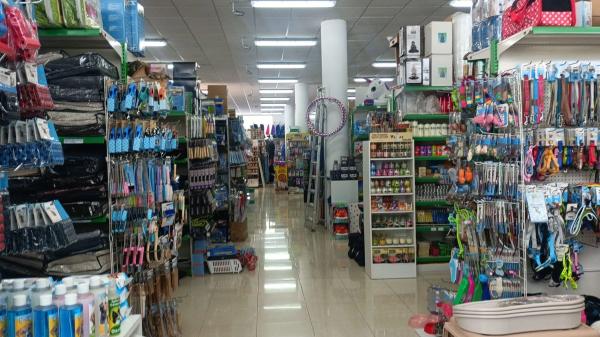 Local en sant pere, 17