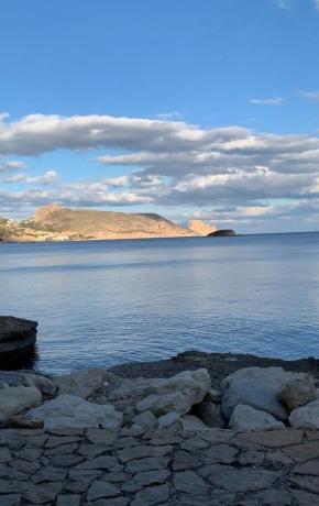 Local en Partida la Olla