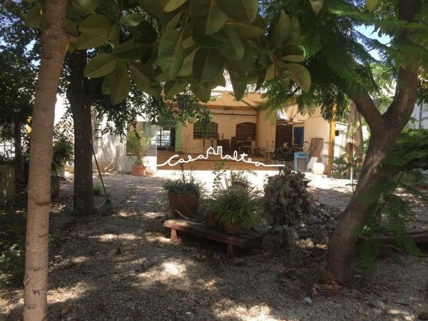 Local en Zona l'Olla