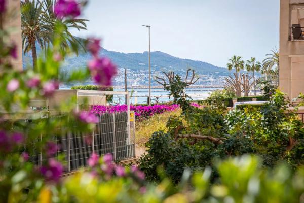 Local en calle Conde de Altea, 68