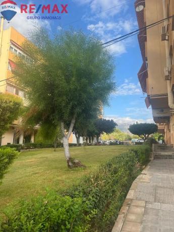 Local en avenida de Holanda