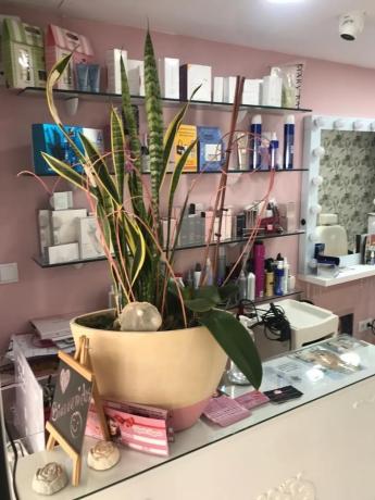 Local en avenida de Portugal