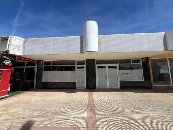 Local en avenida Doctor Severo Ochoa, 31