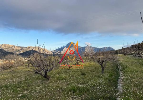 Nave en Av. Constitución