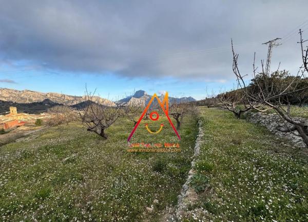 Nave en Av. Constitución