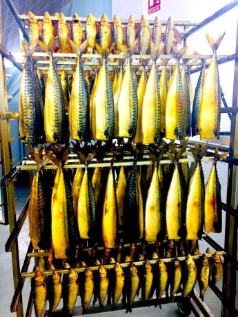 Local en calle Alacant, 39