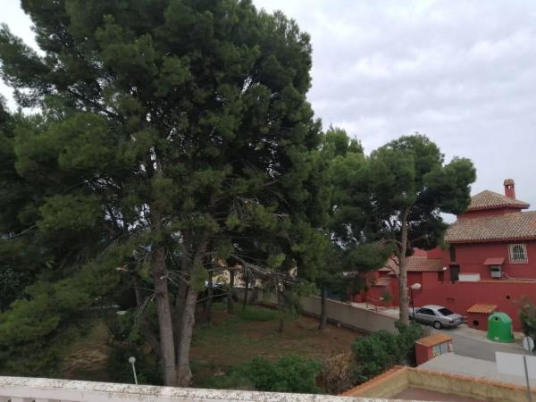 Local en calle Argentina