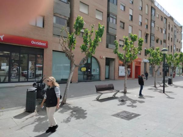 Local en Centro Urbano