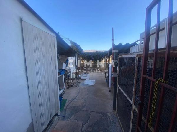 Local en Centro Urbano