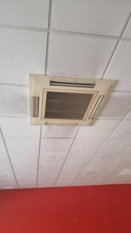 Local en Constitución, 46