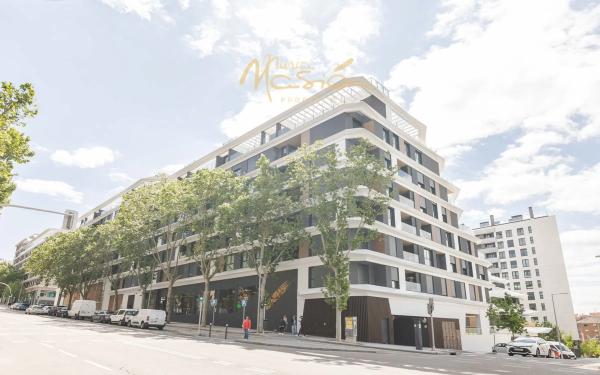 Edificio Stellae