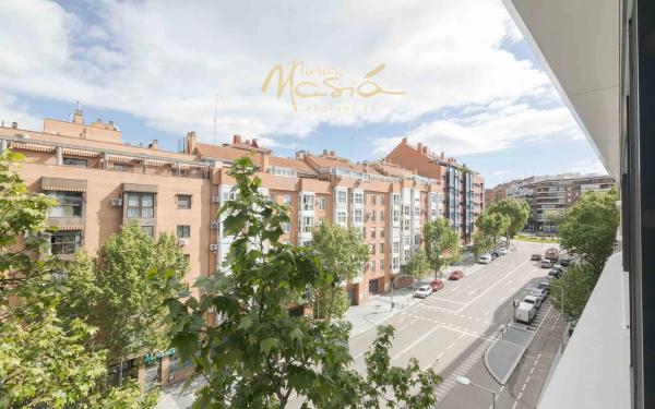 Edificio Stellae