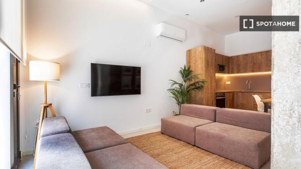 Studio in Coliving in Valencia