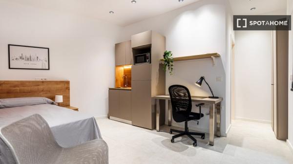 Studio in Coliving in Valencia
