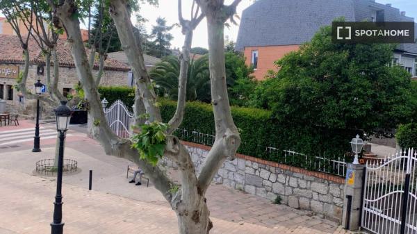 Piso de 1 dormitorio en alquiler en Torrelodones, Madrid