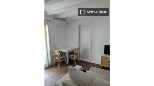 Estudio en alquiler en La Barceloneta, Barcelona