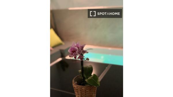 Chambre dans un appartement de 4 chambres à louer à Nerja, Malaga