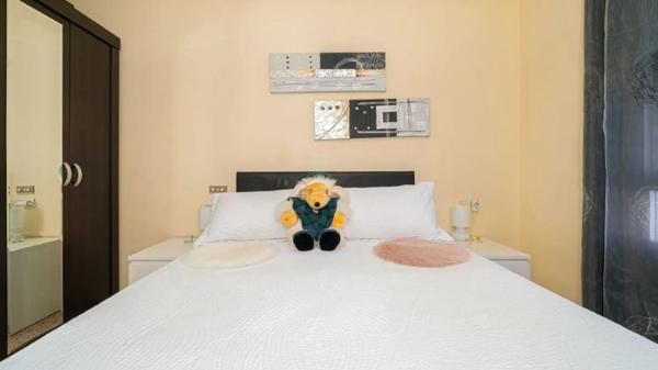 Piso en calle Armando Ros Dueñas