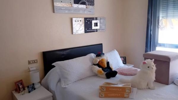 Piso en calle Armando Ros Dueñas