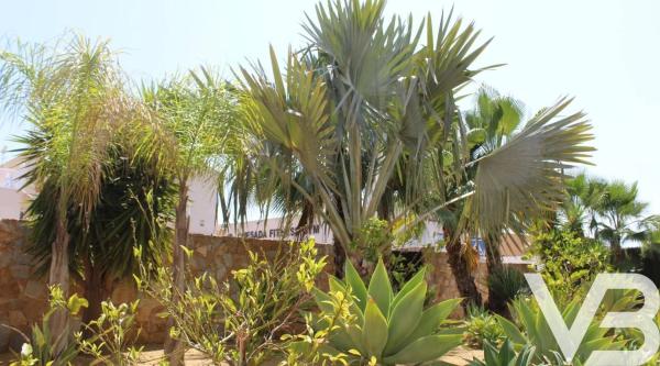 Piso en Ciudad Quesada