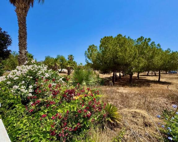 Chalet en Ciudad Quesada
